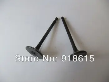 KIPOR IG2000 intake valve and exhuast valve digital portable generator parts
KIPOR IG2000 intake valve and exhuast valve digital portable generator parts