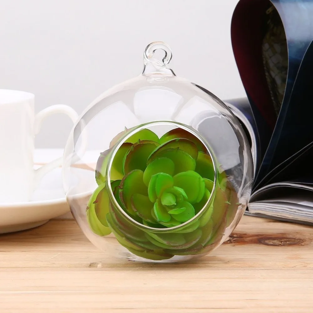 Creative 8cm Clear Glass Round 1Hole Flower Stand Pot Plant Hydroponics Hanging Planter Flower Pot for Home Office Wedding Decor
Creative 8cm Clear Glass Round 1Hole Flower Stand Pot Plant Hydroponics Hanging Planter Flower Pot for Home Office Wedding Decor