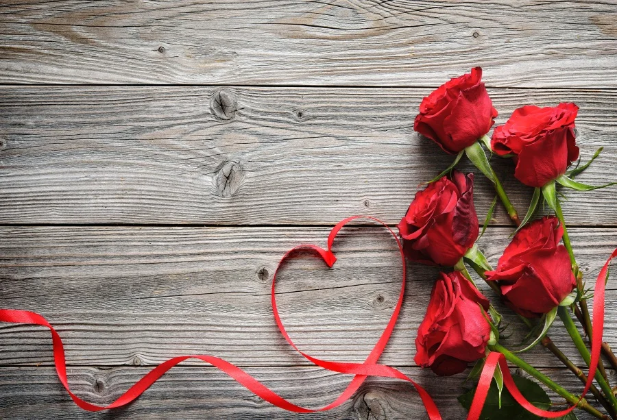 Laeacco Wooden Board Blooming Rose Ribbon Baby Newborn Photography Background Customized Photographic Backdrops For Photo Studio
Laeacco Wooden Board Blooming Rose Ribbon Baby Newborn Photography Background Customized Photographic Backdrops For Photo Studio