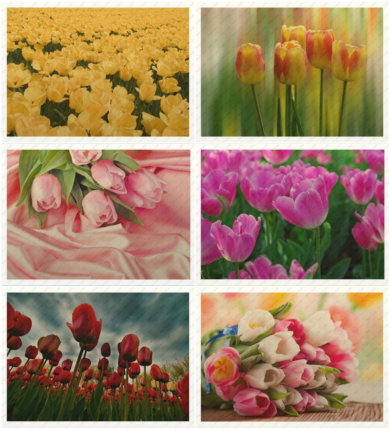 Tulip PosterDecorative paintings YellowKraft Poster Wall stickersCafe bar wall poster Plant Poster