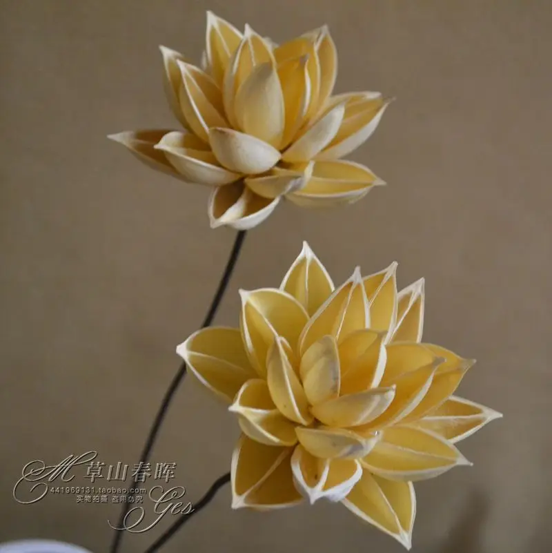 Dried lotus lotus new boutique floral decorative artificial flowers artificial flowers floral suit tops lotus Specials
Dried lotus lotus new boutique floral decorative artificial flowers artificial flowers floral suit tops lotus Specials
