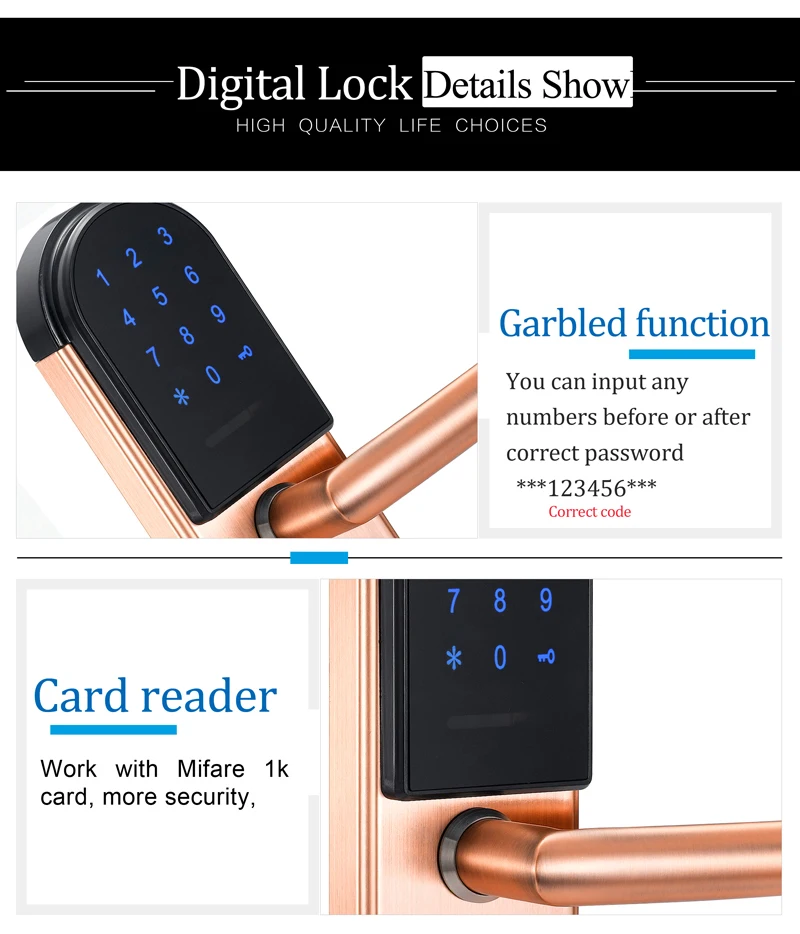 1101-