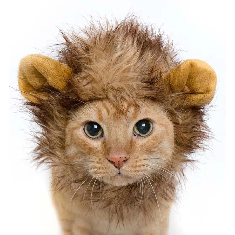 Hat For Dogs/Cats Autumn Winter Emulation Lion Hair Mane Ears Head Cap Dress Up Costume Muffler Scarf Pet animal Hats
Hat For Dogs/Cats Autumn Winter Emulation Lion Hair Mane Ears Head Cap Dress Up Costume Muffler Scarf Pet animal Hats