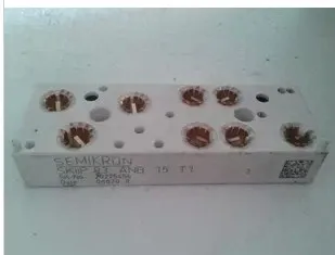Free Shippin New SKIIP83ANB15T1 SKIIP 83ANB15T1 Power module 
Free Shippin New SKIIP83ANB15T1 SKIIP 83ANB15T1 Power module