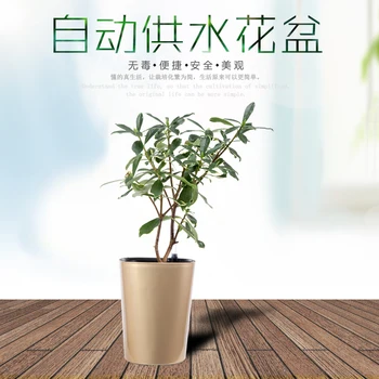 Automatic watering flower pots lacquer resin adsorbent balcony lazy big yards thickened Desktop potted bonsai
Automatic watering flower pots lacquer resin adsorbent balcony lazy big yards thickened Desktop potted bonsai