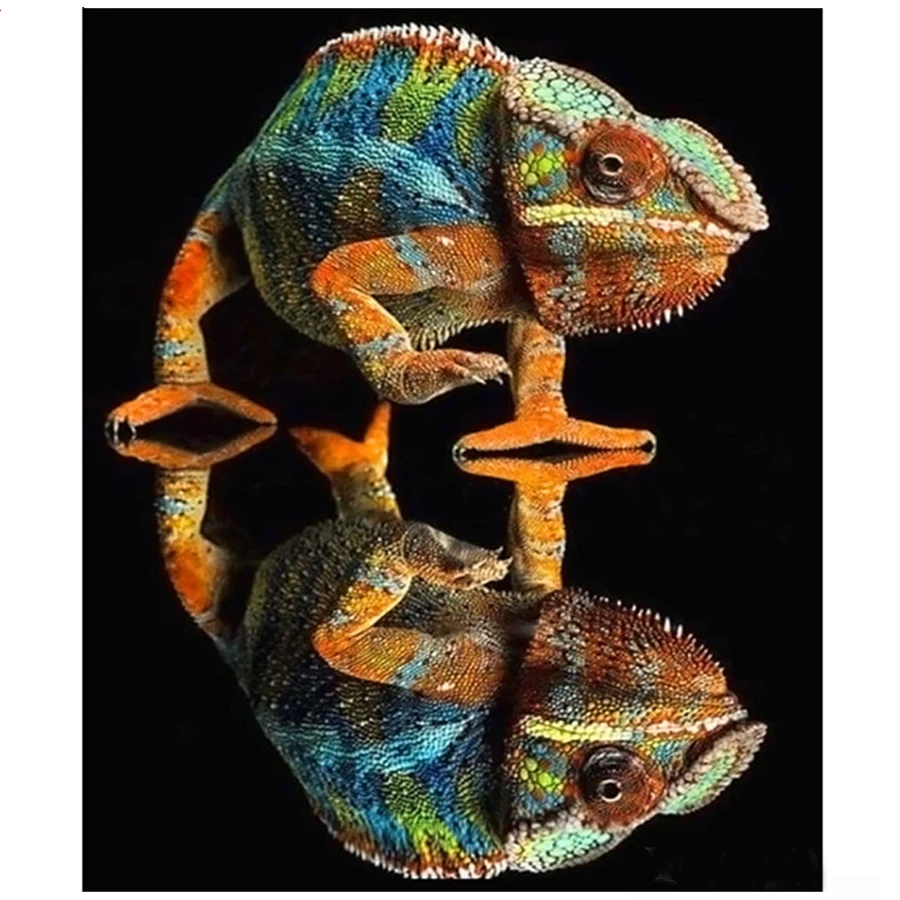 3D Diamond Embroidery lizard Chameleon Diy Diamond Painting Square stone Diamond Mosaic Cross Stitch Kit Full round Drill YG491
3D Diamond Embroidery lizard Chameleon Diy Diamond Painting Square stone Diamond Mosaic Cross Stitch Kit Full round Drill YG491
