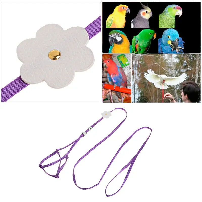Adjustable Bird Training Leash Portable Small Pets Walking Lead Rope Ultralight Flying Harness For Parrot Cat
Adjustable Bird Training Leash Portable Small Pets Walking Lead Rope Ultralight Flying Harness For Parrot Cat