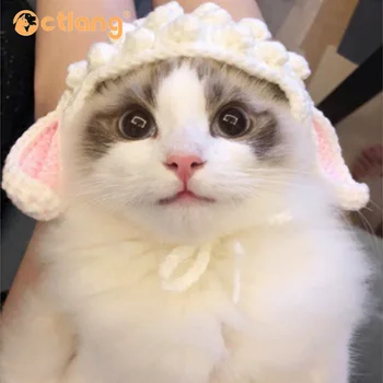 Pet hat little sheep Cat hat Headwear Cat Headwear Headgear Small dog Dog hat accessories 2 colours
Pet hat little sheep Cat hat Headwear Cat Headwear Headgear Small dog Dog hat accessories 2 colours