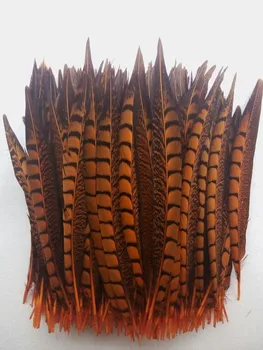 High quality orange 50pcs Lady Amherst Pheasant feathers, 9-11 "/ 23-28cm diy jewelry decorative props
High quality orange 50pcs Lady Amherst Pheasant feathers, 9-11 "/ 23-28cm diy jewelry decorative props