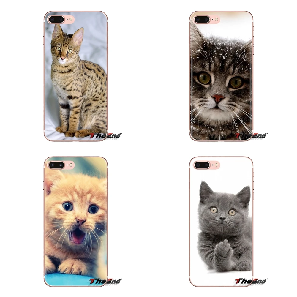 For Sony Xperia Z Z1 Z2 Z3 Z5 compact M2 M4 M5 C4 E3 T3 XA Huawei Mate 7 8 Y3II Cat Back Phone Transparent Soft Cases Covers
For Sony Xperia Z Z1 Z2 Z3 Z5 compact M2 M4 M5 C4 E3 T3 XA Huawei Mate 7 8 Y3II Cat Back Phone Transparent Soft Cases Covers