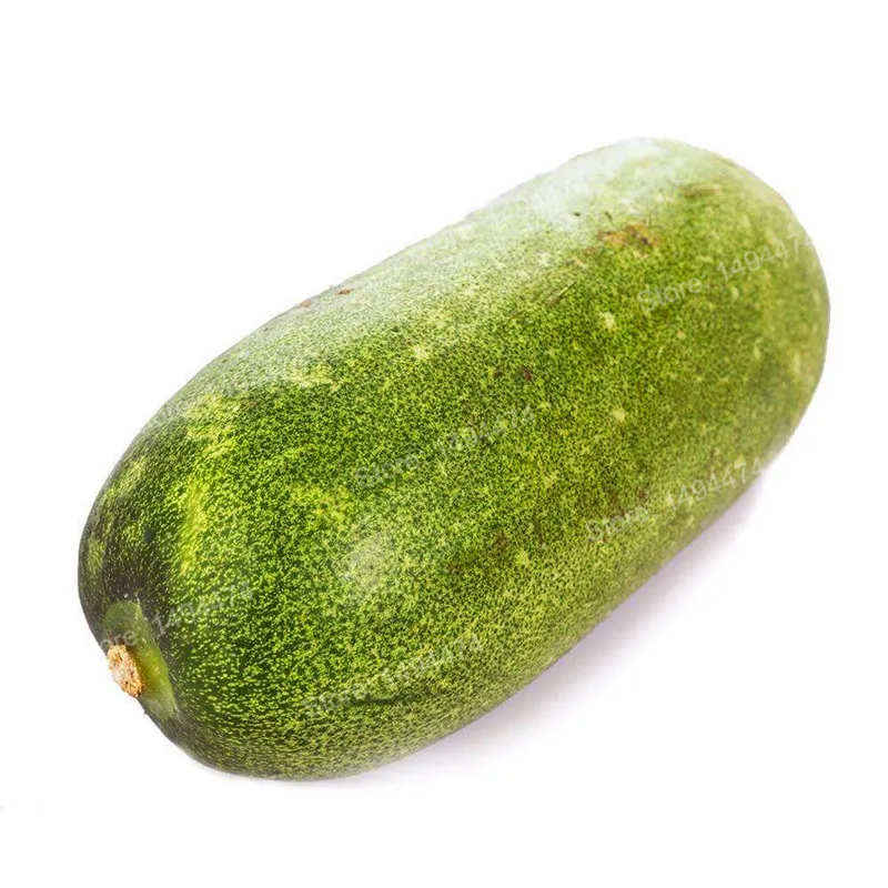 200pcs/bag hot sale vegetable flores China wax gourd plantas Big winter melon plante bonsai plant for home garden
200pcs/bag hot sale vegetable flores China wax gourd plantas Big winter melon plante bonsai plant for home garden
