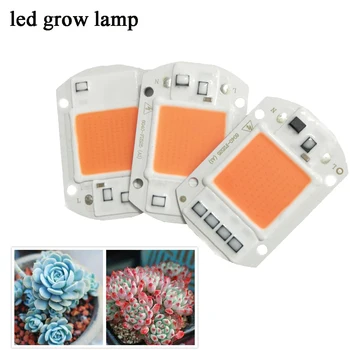10pcs/lot LED Grow Light Lamp Chip 660nm Power Led 220V 20W 30W 50W For Indoor Plant Seedling Grow and Flower
10pcs/lot LED Grow Light Lamp Chip 660nm Power Led 220V 20W 30W 50W For Indoor Plant Seedling Grow and Flower