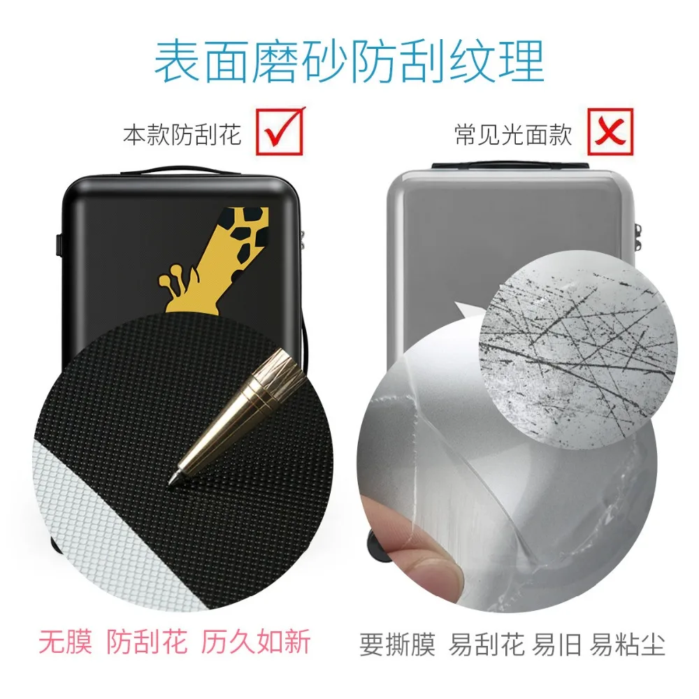 8776951522_908564009