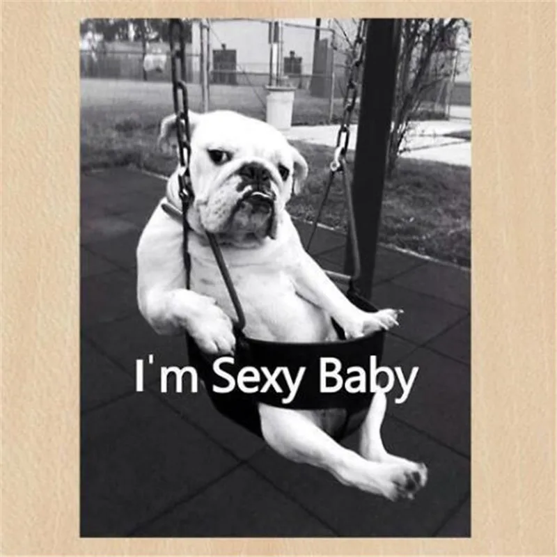 Dog PVC Patch deal with it Clothes Heat Transfer Printing I'M Sexy Baby T shirt girl iron on patches for clothing women Stickers
Dog PVC Patch deal with it Clothes Heat Transfer Printing I'M Sexy Baby T shirt girl iron on patches for clothing women Stickers