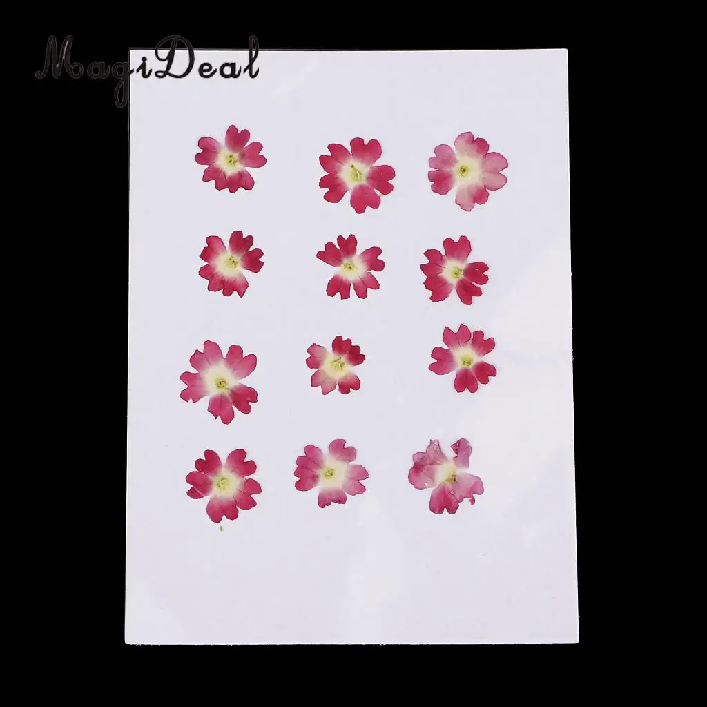 22pcs Mini Natural Dried Flowers Verbena Forget-me-not Embellishment for DIY Pendants Charms Nail Art Decoration