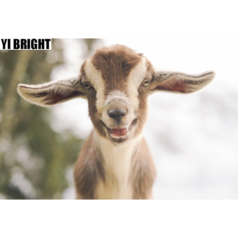 Full Diamond Embroidery DIY Diamond Painting "Lovely Little Goat Lamb" Cross Stitch Picutre Of Mosaic Home Decorate Gift GT
Full Diamond Embroidery DIY Diamond Painting "Lovely Little Goat Lamb" Cross Stitch Picutre Of Mosaic Home Decorate Gift GT