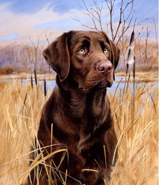 DIY 5D Diamond Painting dog Animals Embroidery Cross Stitch Rhinestone Picture Full circular Diamond Home Decor
DIY 5D Diamond Painting dog Animals Embroidery Cross Stitch Rhinestone Picture Full circular Diamond Home Decor