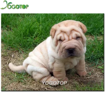 YOGOTOP 5d diy pet photo custom Diamond Painting shar pei Diamond Embroidery animal dog full drill Rhinestones mosaic Art YY948 
YOGOTOP 5d diy pet photo custom Diamond Painting shar pei Diamond Embroidery animal dog full drill Rhinestones mosaic Art YY948