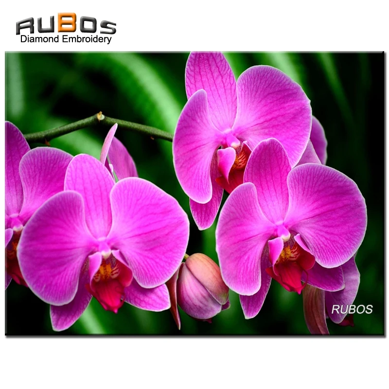 RUBOS 5D DIY full diamond embroidery orchid flower branch exotic picture by rhinestone diamond painting mosaic Rubik's Cube 2018
RUBOS 5D DIY full diamond embroidery orchid flower branch exotic picture by rhinestone diamond painting mosaic Rubik's Cube 2018
