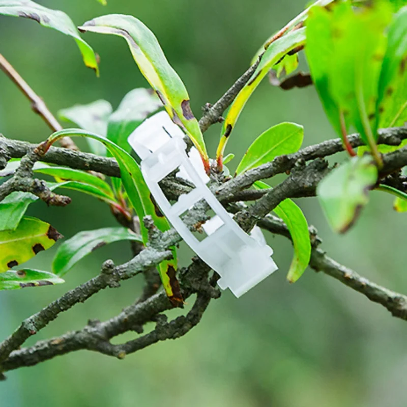 Garden Plant Support Clips Connects Plants Vine Tomato Vegetable Fastening Clip Plant Plastic Clip Supplies 10Pcs/50Pcs/100Pcs
Garden Plant Support Clips Connects Plants Vine Tomato Vegetable Fastening Clip Plant Plastic Clip Supplies 10Pcs/50Pcs/100Pcs