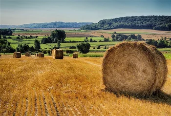 Laeacco Autumn Field Hay Rolls Trees Harvest Season Scenic Photography Backgrounds Photographic Backdrops For Photo Studio
Laeacco Autumn Field Hay Rolls Trees Harvest Season Scenic Photography Backgrounds Photographic Backdrops For Photo Studio