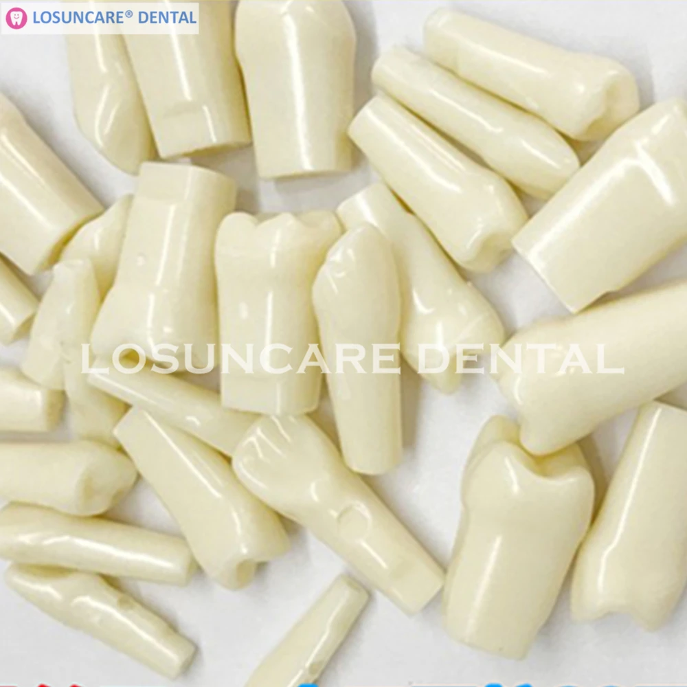 28 PCS / Bag High Quality Simulation Tooth Grain Dental Tooth Model For Dentist Exam Preparation Teaching
28 PCS / Bag High Quality Simulation Tooth Grain Dental Tooth Model For Dentist Exam Preparation Teaching