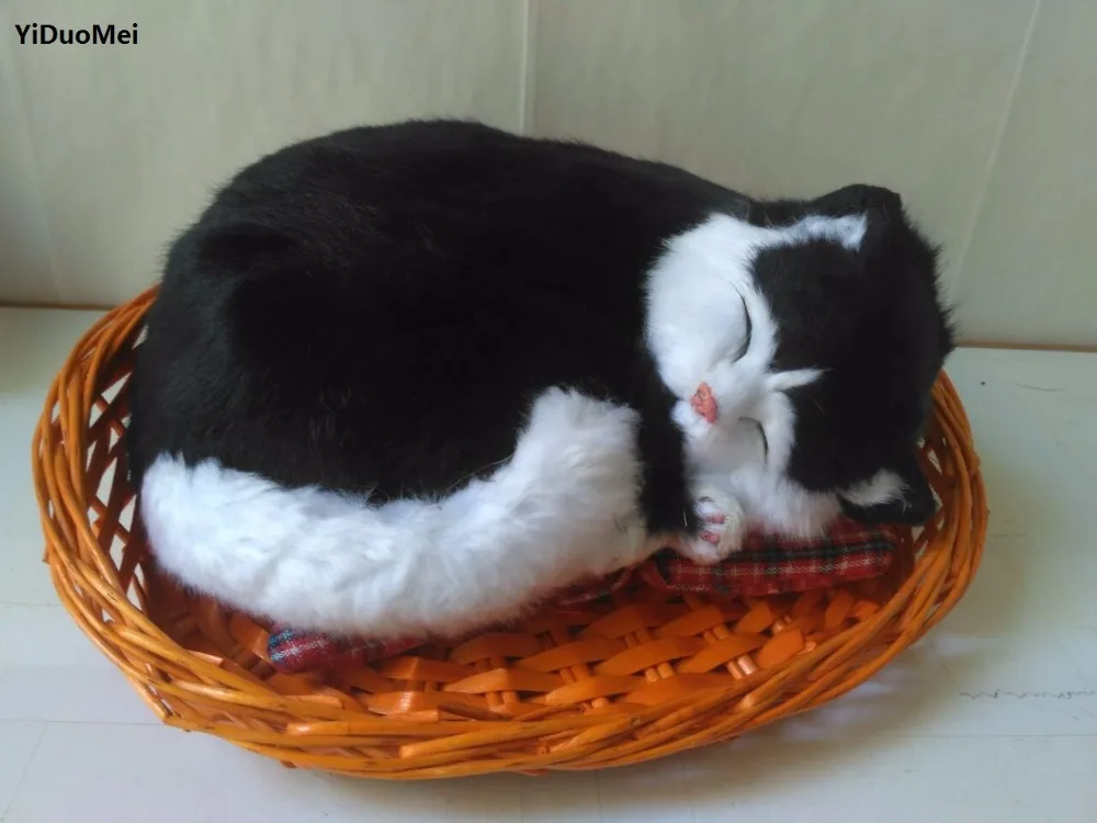 large 25x20x12cm black sleepy cat model,polyethylene&furs artificial cat with basket ,handicraft prop,home decoration gift a2698
large 25x20x12cm black sleepy cat model,polyethylene&furs artificial cat with basket ,handicraft prop,home decoration gift a2698