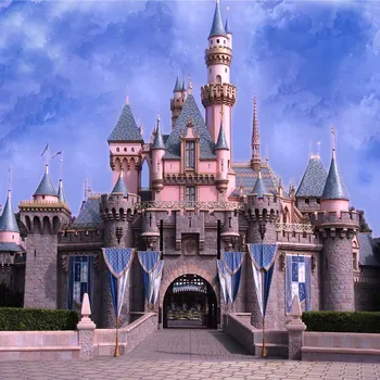 10x10ft Amusement Park Castle Theme Photo Backgrounds New Fabric Polyester Photography Backdrop Background For Photo Studio S475
10x10ft Amusement Park Castle Theme Photo Backgrounds New Fabric Polyester Photography Backdrop Background For Photo Studio S475