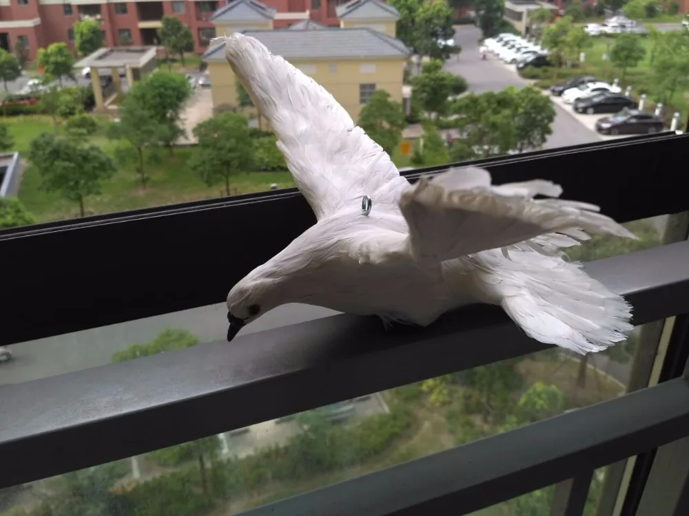 simulation peace bird large 36x28cm white dove spreading wings,polyethylene&furs handicraft,props,home decoration gift p0779
simulation peace bird large 36x28cm white dove spreading wings,polyethylene&furs handicraft,props,home decoration gift p0779