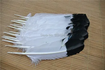 100pcs 12-14inch(30-35cm) white with black top Turkey quill round turkey round feather for costumes decor
100pcs 12-14inch(30-35cm) white with black top Turkey quill round turkey round feather for costumes decor