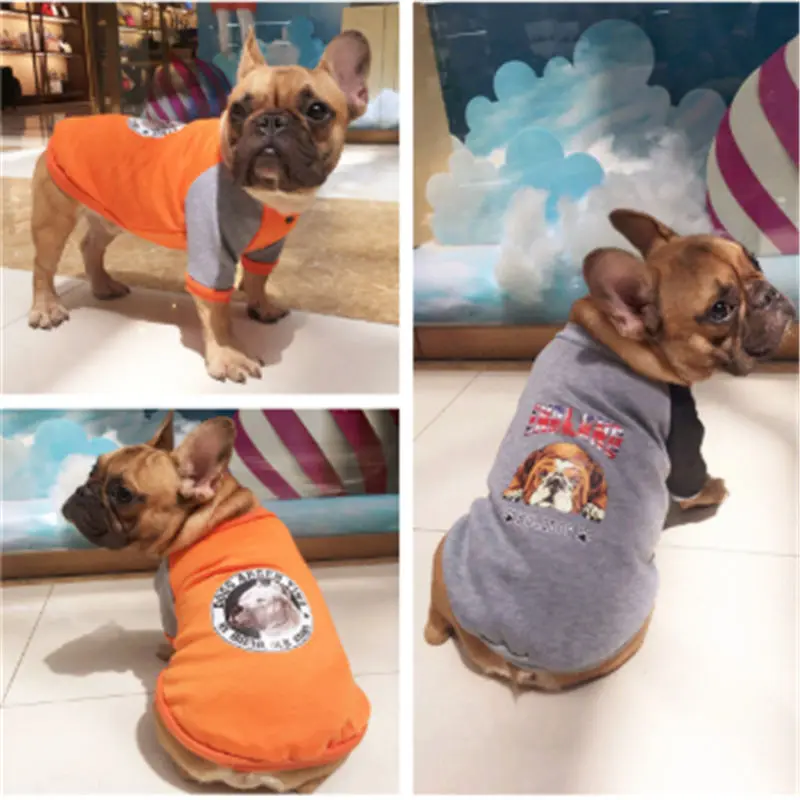 S-XXL Small Pet dog life jacket Coat Jacket Puppy Small Pet Dog Clothes dog jacket Hoodies chihuahua dog Yorkie Warm Soft coat
S-XXL Small Pet dog life jacket Coat Jacket Puppy Small Pet Dog Clothes dog jacket Hoodies chihuahua dog Yorkie Warm Soft coat