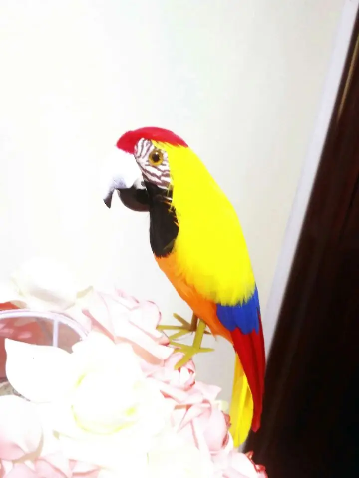 new simulation parrot model toy foam&feathers yellow parrot bird doll gift about 32cm 2883
new simulation parrot model toy foam&feathers yellow parrot bird doll gift about 32cm 2883