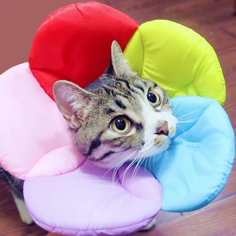 2018 Flower Pattern Pet Cats Dogs Elizabethan Collar Recovery Pet Cone Protective Cover Elizabethan Collar
2018 Flower Pattern Pet Cats Dogs Elizabethan Collar Recovery Pet Cone Protective Cover Elizabethan Collar
