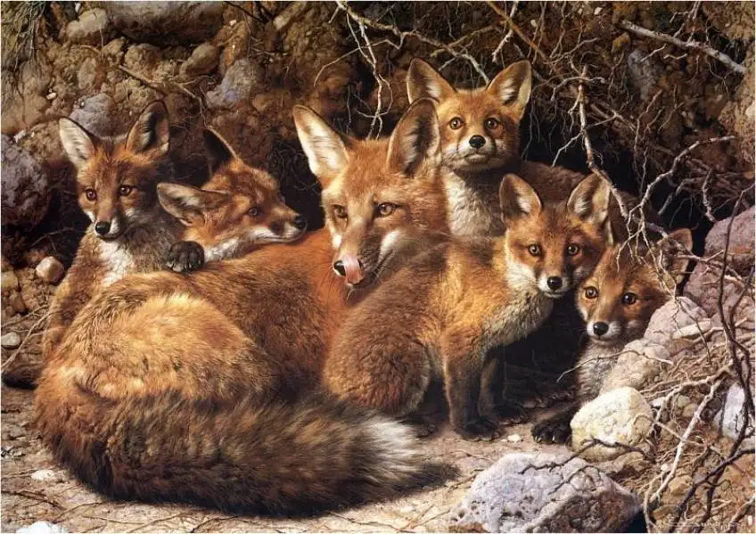 5D Diy Diamond Painting Animals Fox Eagle Of Rhinestones Square Cross Stitch Needlework Home Decorative Relative Mosaic KJ324
5D Diy Diamond Painting Animals Fox Eagle Of Rhinestones Square Cross Stitch Needlework Home Decorative Relative Mosaic KJ324
