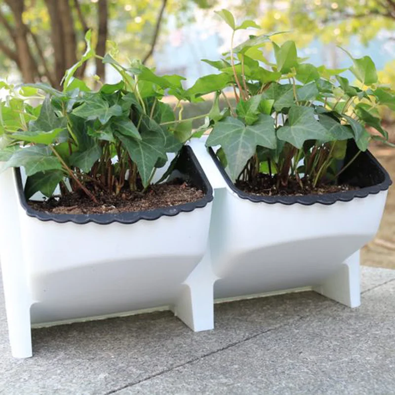 four colors new automatic absorption water plant wall plastic flower pot for home and garden
four colors new automatic absorption water plant wall plastic flower pot for home and garden