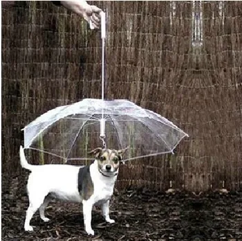 Dog Protective Rain Umbrella Fashion PE Pet Rain Coat Walk The Dog Sun Umbrella With Chain
Dog Protective Rain Umbrella Fashion PE Pet Rain Coat Walk The Dog Sun Umbrella With Chain