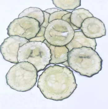 60pcs Dried Pressed Exopy Fruit Cucumber Slices Plant Herbarium Jewelry Photo Frame Phone Case Craft DIY Making Accessory
60pcs Dried Pressed Exopy Fruit Cucumber Slices Plant Herbarium Jewelry Photo Frame Phone Case Craft DIY Making Accessory