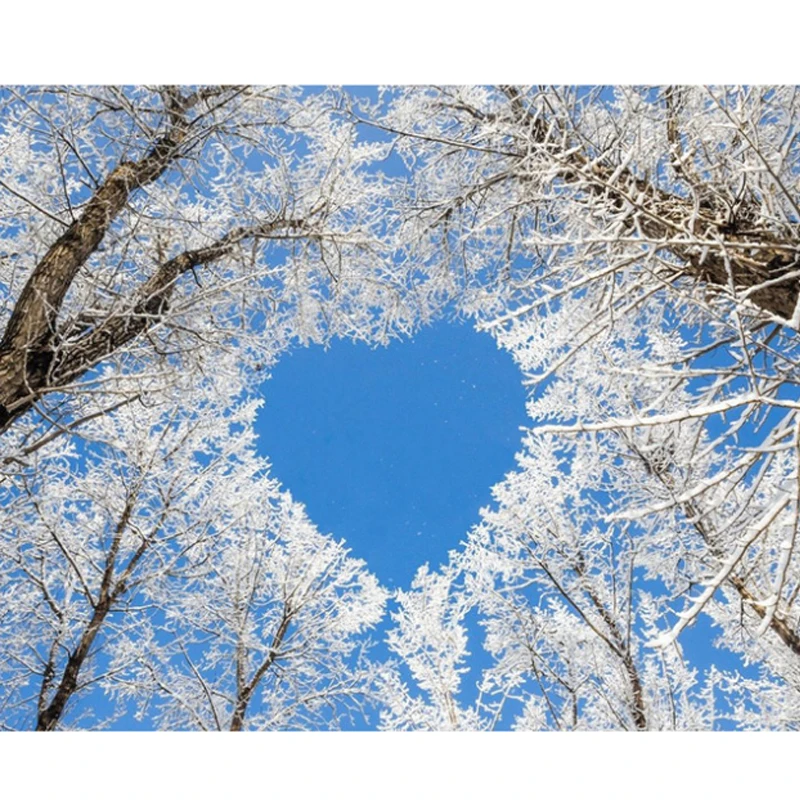 Diy daimond painting 3d diamond embroidery"love"forest pictures of rhinestones hobbies and crafts material for handmade
Diy daimond painting 3d diamond embroidery"love"forest pictures of rhinestones hobbies and crafts material for handmade