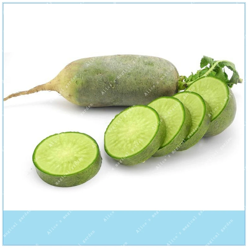 ZLKING Radish Vegetable 100 Easy-growing Non-Gmo Heirloom Crisp Sweet Salad Vegetable
ZLKING Radish Vegetable 100 Easy-growing Non-Gmo Heirloom Crisp Sweet Salad Vegetable