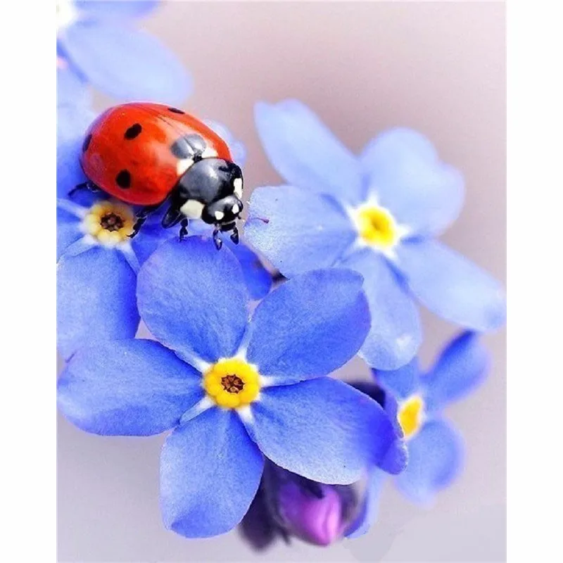 Full drill Diamond Painting Flowers Ladybug Embroidery Diamond Cross Stitch Rhinestone Mosaic Painting Home decor Gift
Full drill Diamond Painting Flowers Ladybug Embroidery Diamond Cross Stitch Rhinestone Mosaic Painting Home decor Gift