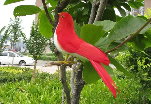 small simulation red bird model polyethylene & furs bird doll gift about 16cm 0956
small simulation red bird model polyethylene & furs bird doll gift about 16cm 0956