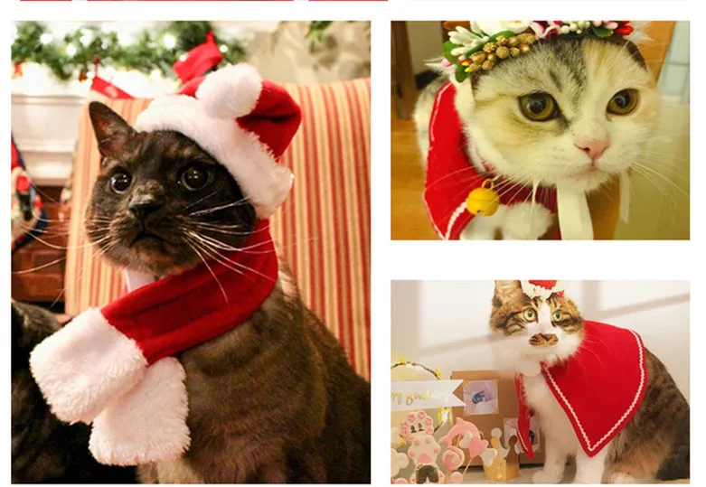Pet Dog Cat clothes costume halloween cat hat scarf suit cloak dress up New Year pet costume cloak Christmas clothes mascotas
Pet Dog Cat clothes costume halloween cat hat scarf suit cloak dress up New Year pet costume cloak Christmas clothes mascotas