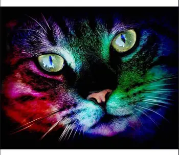 New Full Square Diamond 5D Diy Diamond Painting Color Cat Embroidery Cross Stitch Rhinestone Diamond Mosaic Painting Decor Gifts
New Full Square Diamond 5D Diy Diamond Painting Color Cat Embroidery Cross Stitch Rhinestone Diamond Mosaic Painting Decor Gifts