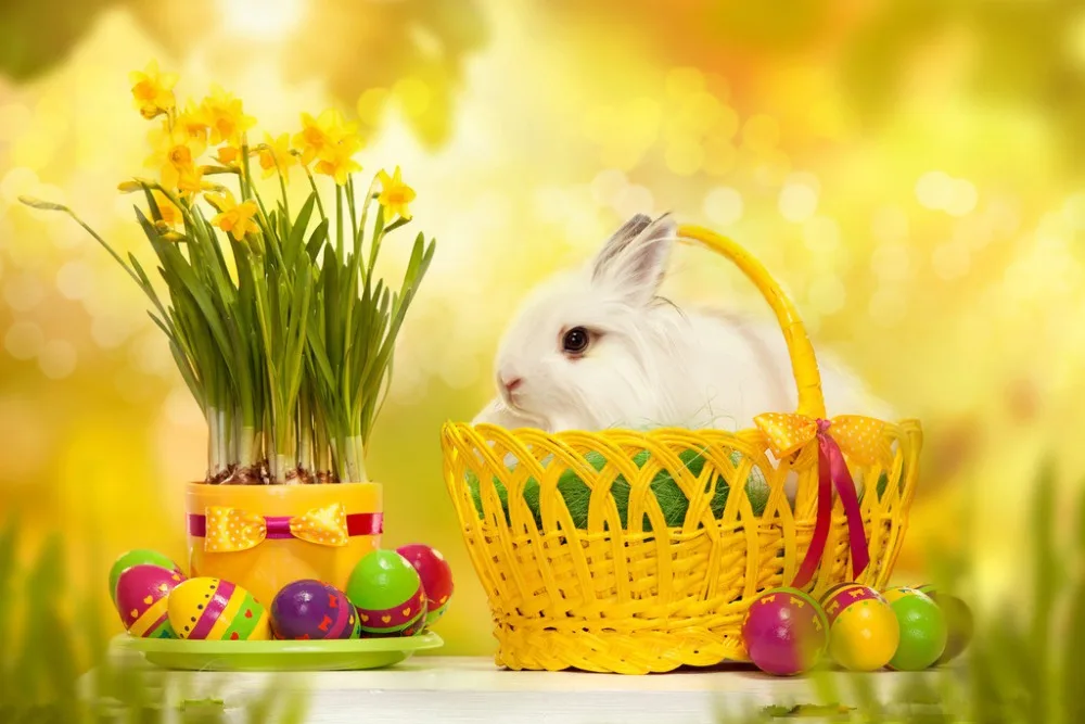 7X5ft Vinyl Custom Easter Photography Backdrops Prop Muslin Photography Background NTF-16
7X5ft Vinyl Custom Easter Photography Backdrops Prop Muslin Photography Background NTF-16