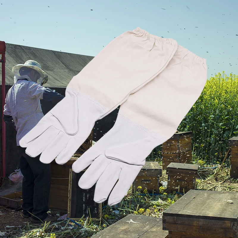 1 pair Beekeeping Protective Gloves Sheepskin Sleeves ventilated Professional Anti Bee for Apiculture Beekeeper beehive
1 pair Beekeeping Protective Gloves Sheepskin Sleeves ventilated Professional Anti Bee for Apiculture Beekeeper beehive