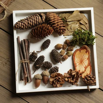 Free shipping! ZAKKA Artificial Simulation Plants DIY Material Package Mixed Plants & Flowers Micro Landscape Photo Props
Free shipping! ZAKKA Artificial Simulation Plants DIY Material Package Mixed Plants & Flowers Micro Landscape Photo Props