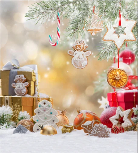 10x10FT Snowflake Field Box Gifts Stars Outdoor Christmas Tree Custom Photography Backgrounds Studio Backdrops Seamless Vinyl
10x10FT Snowflake Field Box Gifts Stars Outdoor Christmas Tree Custom Photography Backgrounds Studio Backdrops Seamless Vinyl