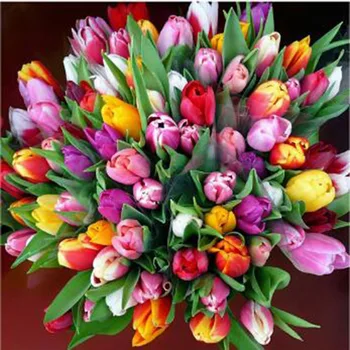 Full square Diamond Pattern Mosaic Needlework DIY Diamond Embroidery Painting Home Decor Flowers Picture
Full square Diamond Pattern Mosaic Needlework DIY Diamond Embroidery Painting Home Decor Flowers Picture