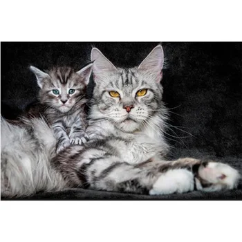 5d pintura diamante DIY adesivos decoracao ponto cruz strass pintura mosaico padrao de diamante bordado gato quadrado W191
5d pintura diamante DIY adesivos decoracao ponto cruz strass pintura mosaico padrao de diamante bordado gato quadrado W191