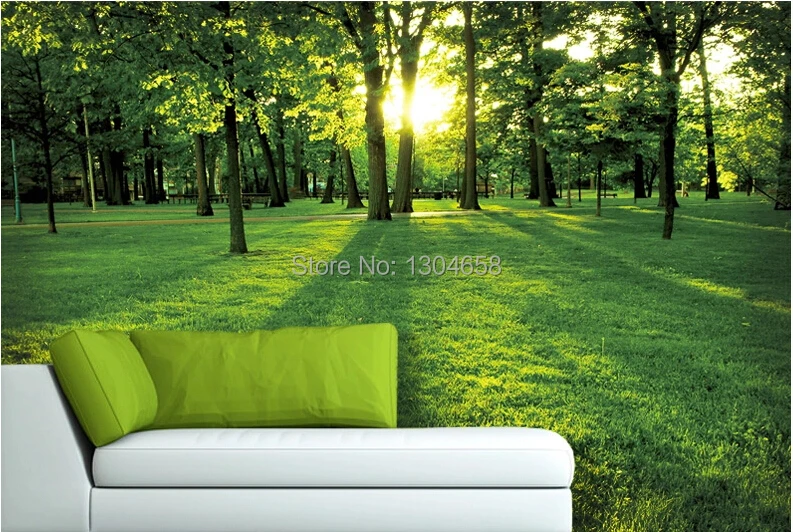 Custom 3D large murals of natural scenery morning Park the living room sofa aisle background wall wallpaper
Custom 3D large murals of natural scenery morning Park the living room sofa aisle background wall wallpaper